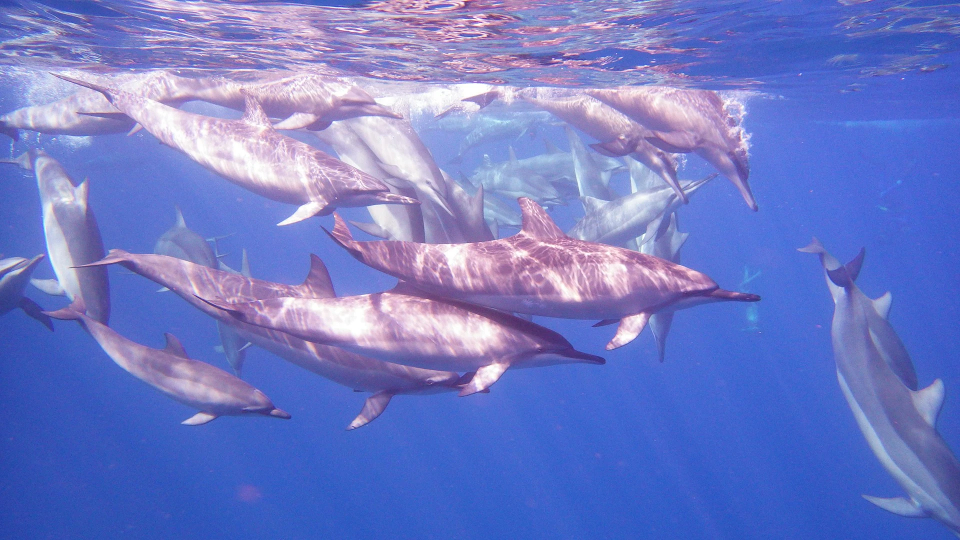 Aventura por el sur y playas de Tailandia